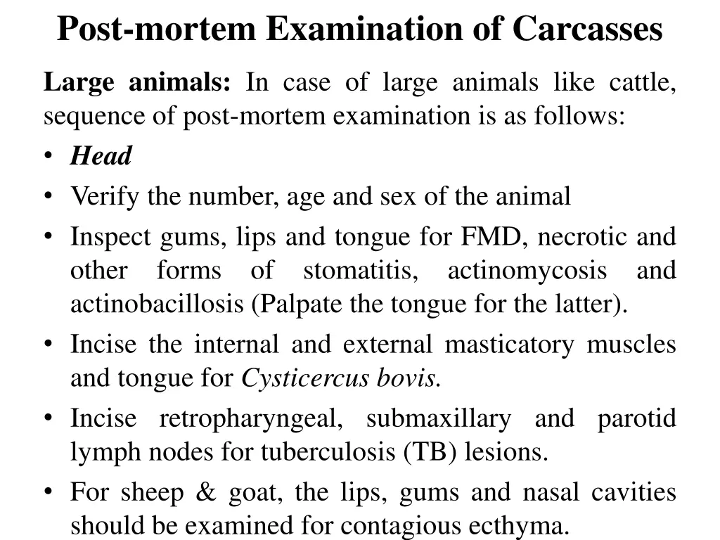 post mortem examination of carcasses