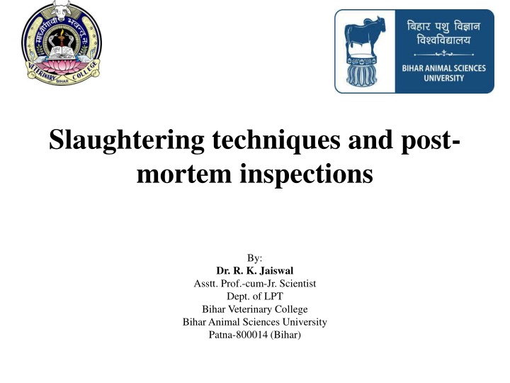 slaughtering techniques and post mortem