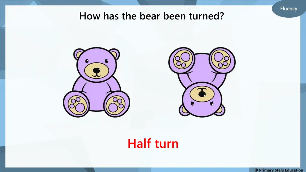 how has the bear been turned