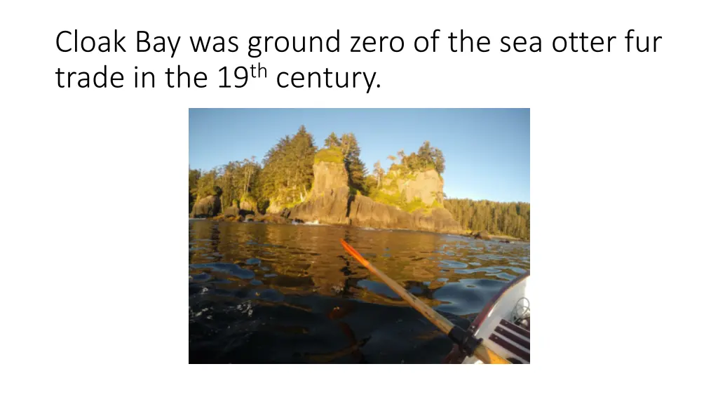 cloak bay was ground zero of the sea otter