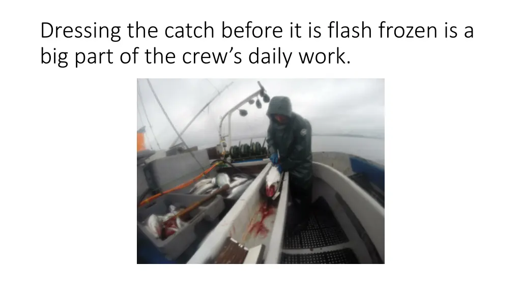 dressing the catch before it is flash frozen