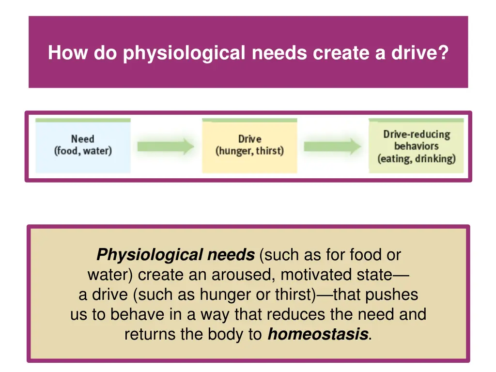 how do physiological needs create a drive