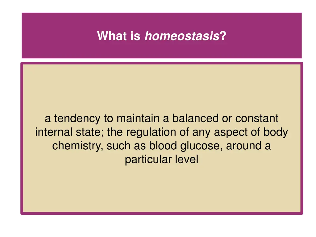 what is homeostasis