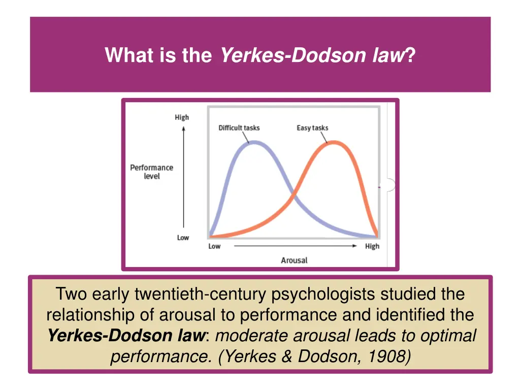 what is the yerkes dodson law