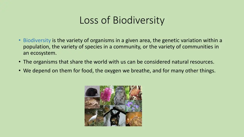 loss of biodiversity