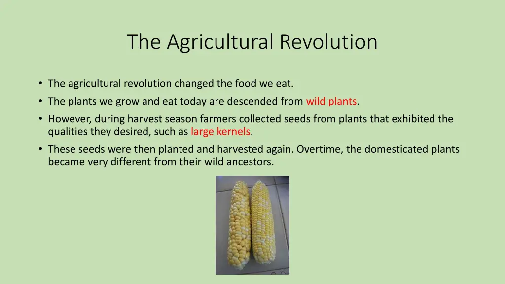 the agricultural revolution 2