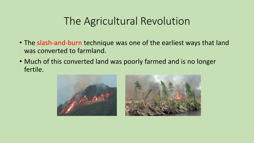 the agricultural revolution 4