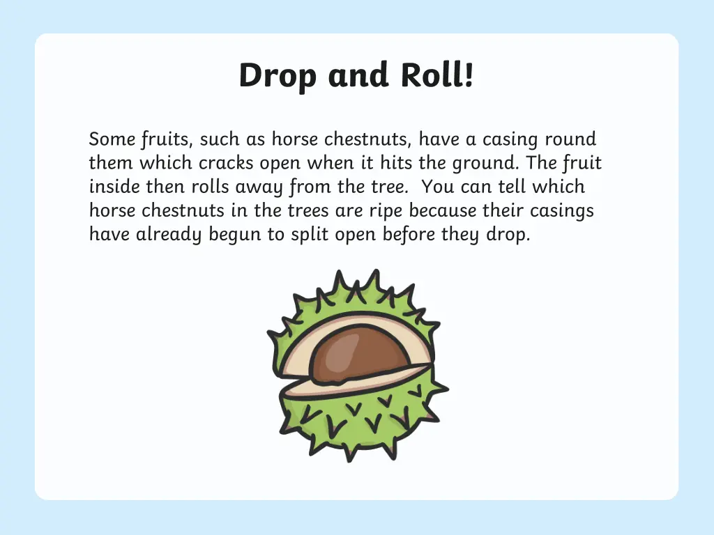 drop and roll