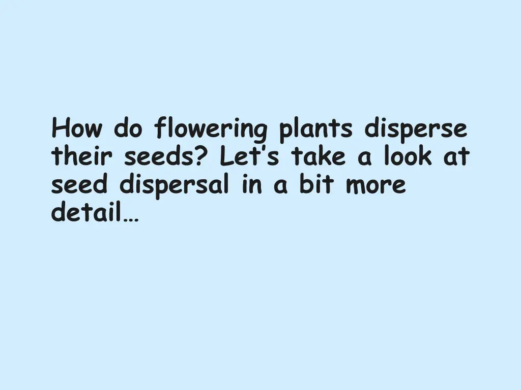 how do flowering plants disperse their seeds