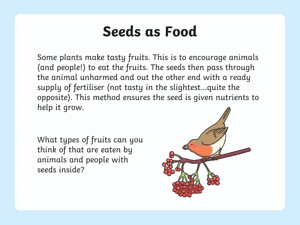 seeds as food