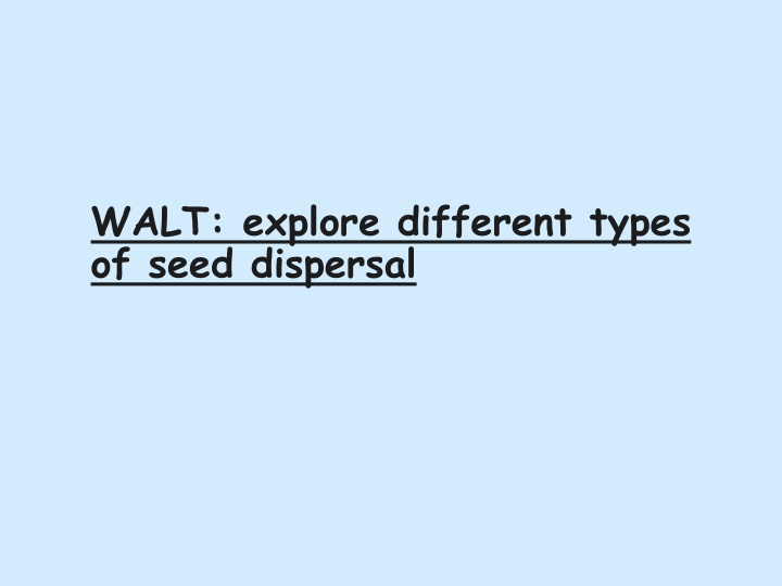 walt explore different types of seed dispersal