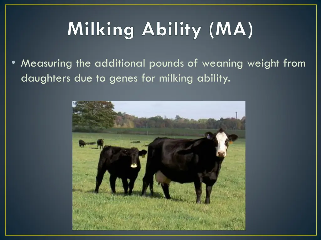 milking ability ma