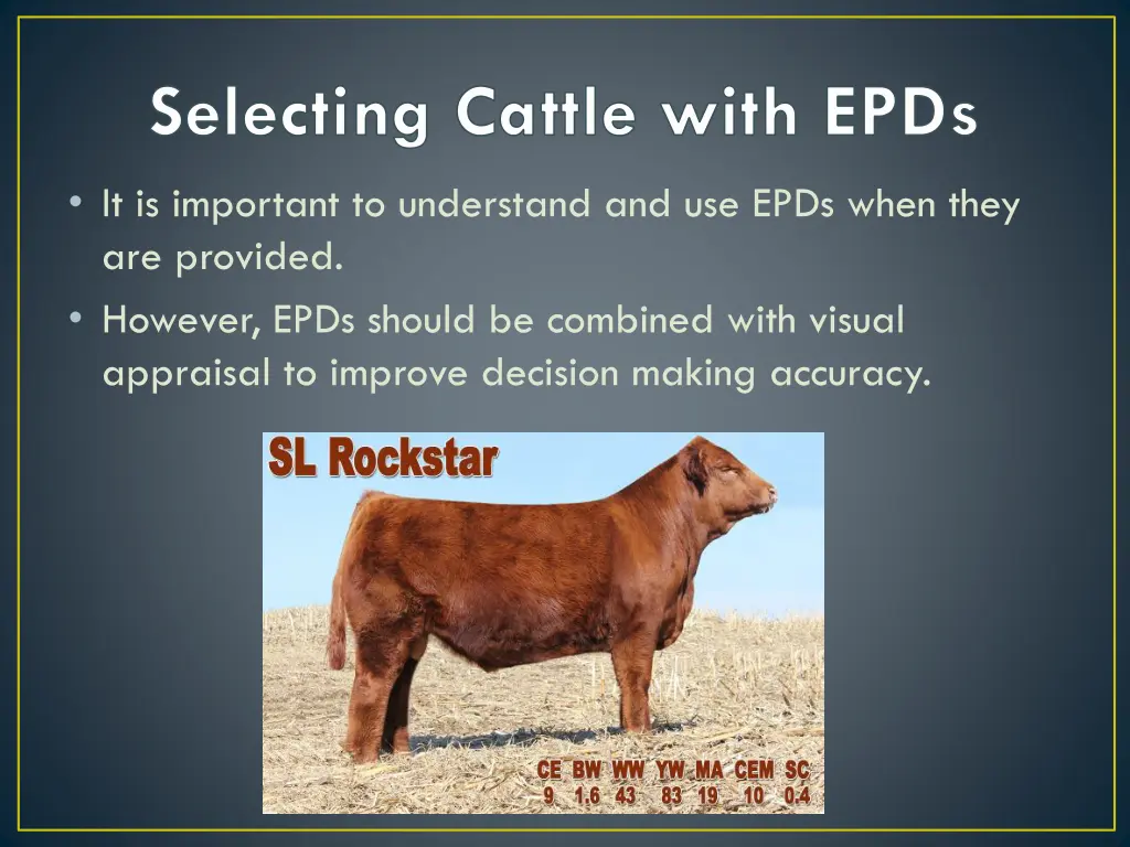 selecting cattle with epds