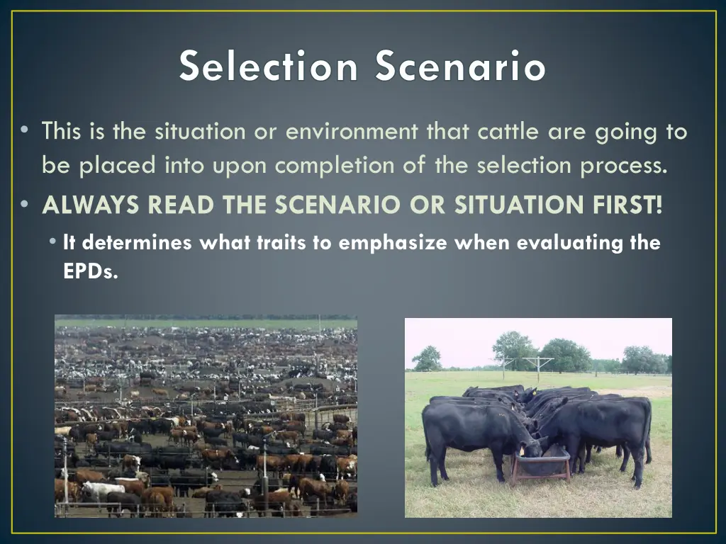 selection scenario