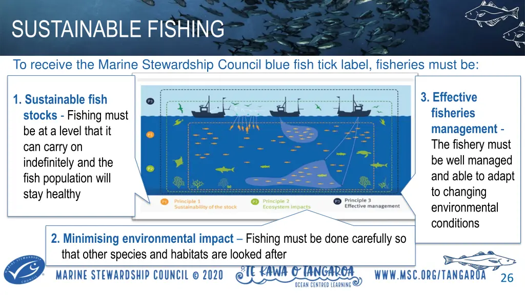 sustainable fishing 4