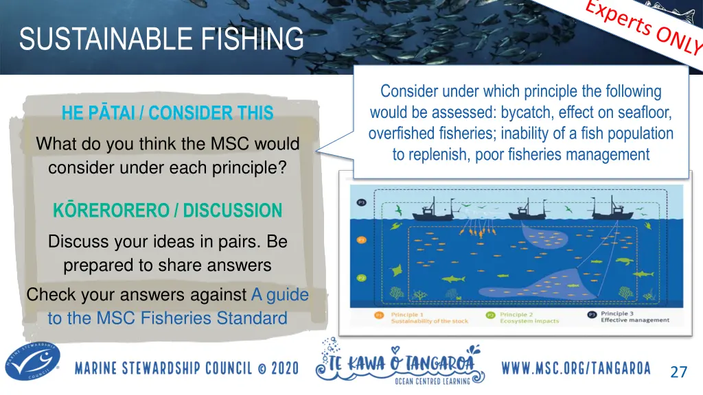 sustainable fishing 5