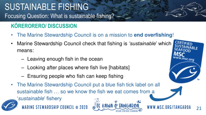 sustainable fishing focusing question what