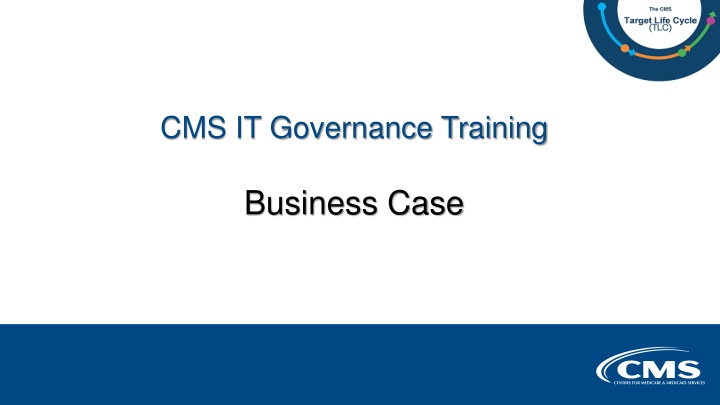 cms it governance training