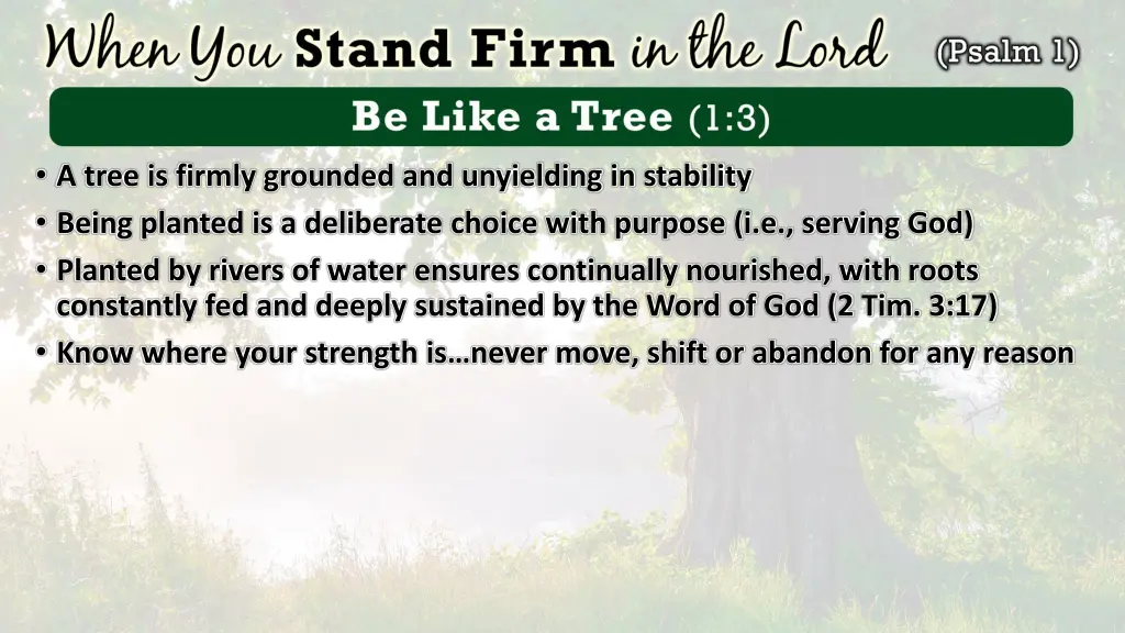 a tree is firmly grounded and unyielding