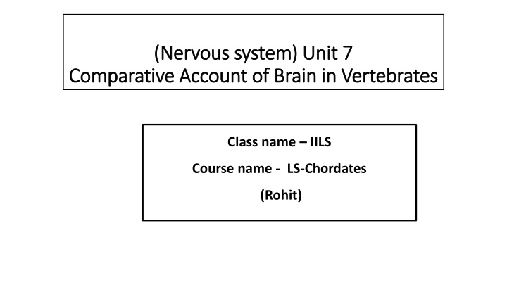 nervous system unit 7 nervous system unit