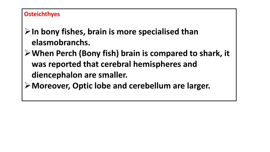 osteichthyes