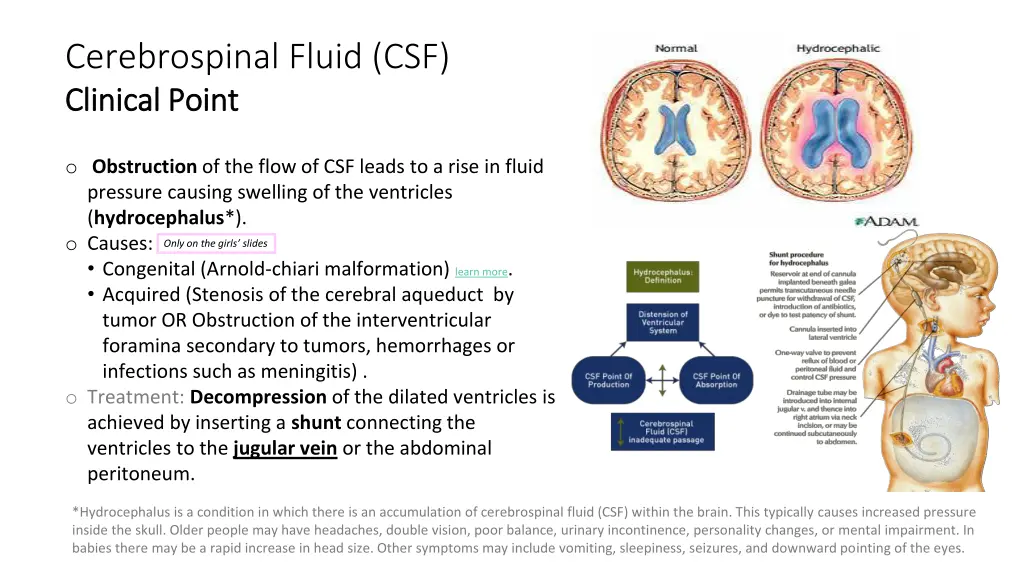 cerebrospinal fluid csf clinical point clinical