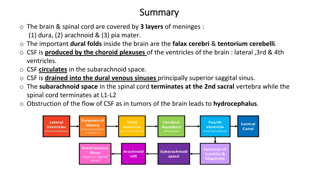 summary summary