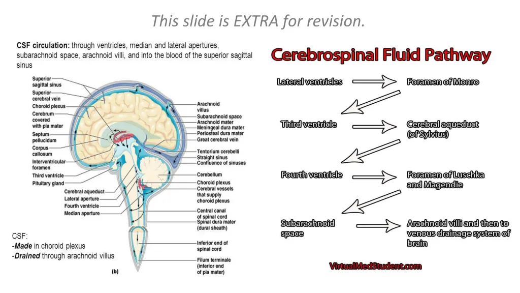 this slide is extra for revision