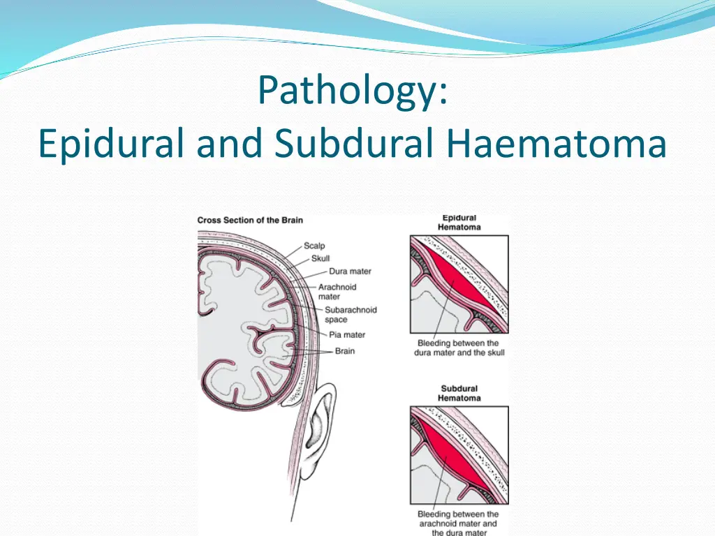 pathology 1