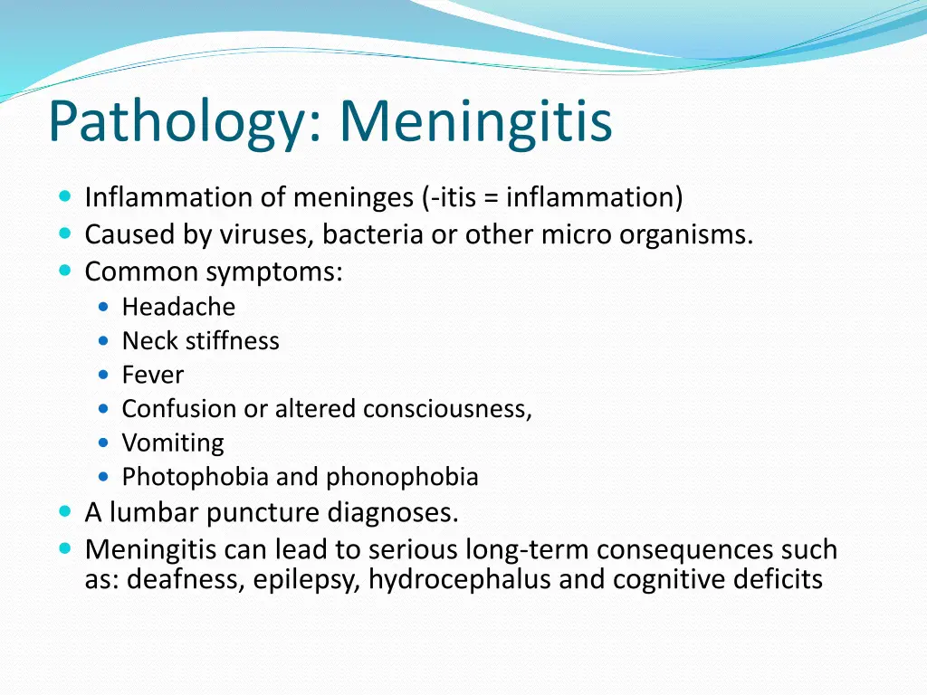 pathology meningitis