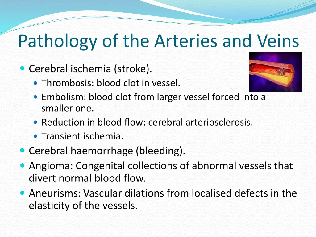 pathology of the arteries and veins