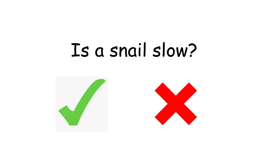 is a snail slow