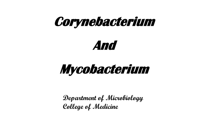 corynebacterium corynebacterium