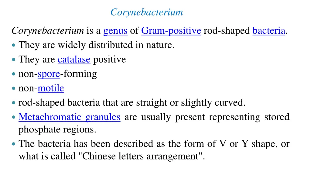 corynebacterium