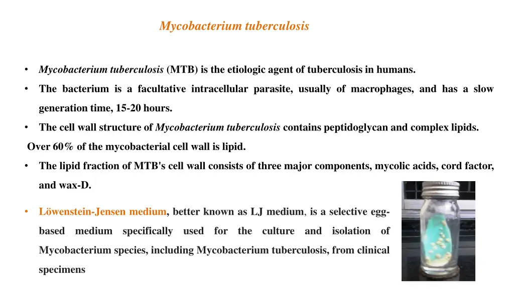 mycobacterium tuberculosis