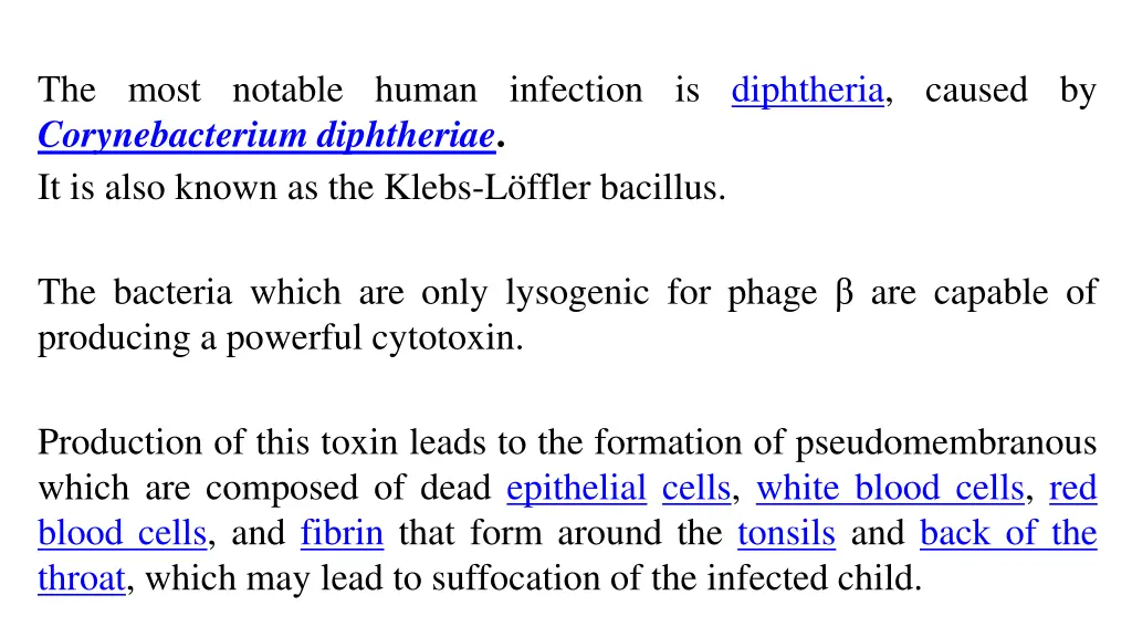 the most notable human infection is diphtheria