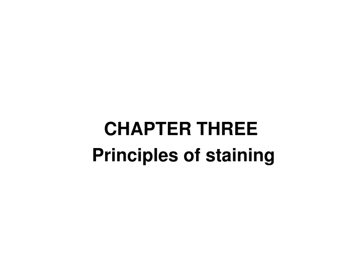 chapter three principles of staining