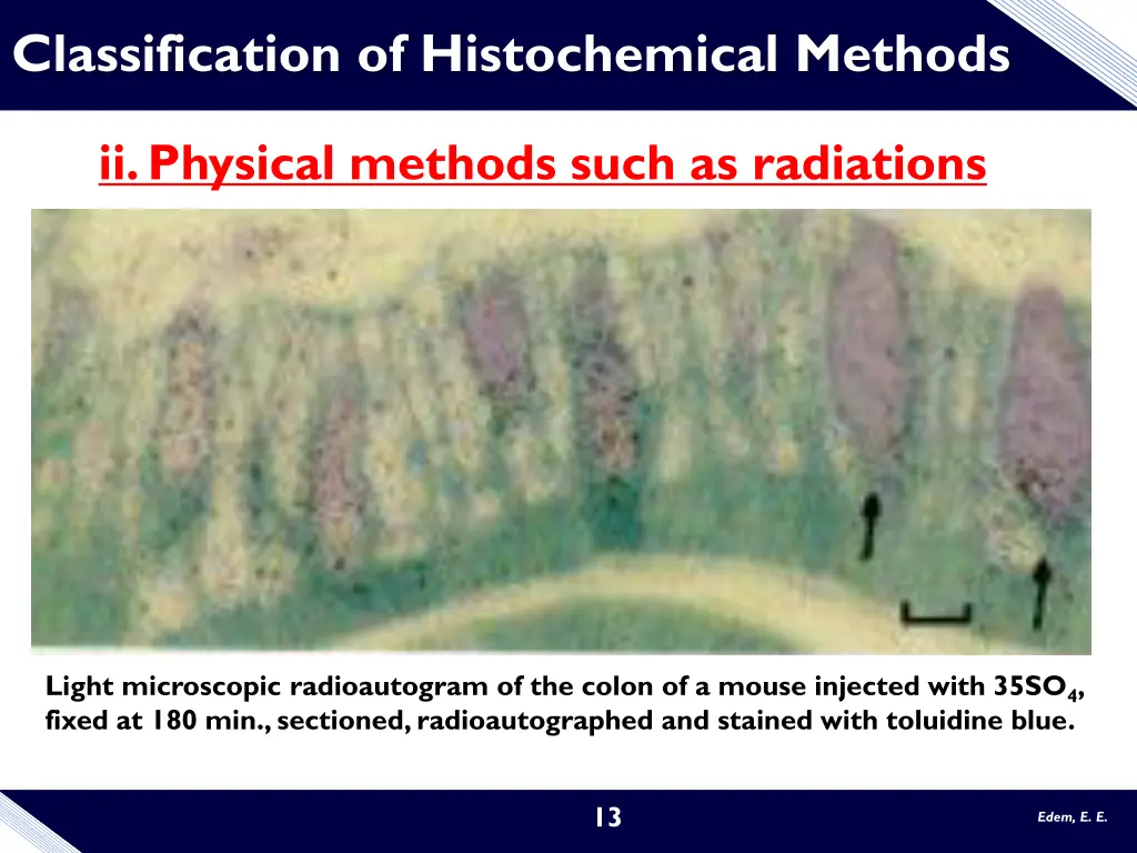 classification of histochemical methods 1