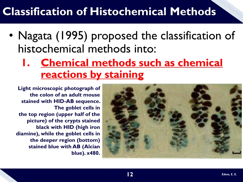 classification of histochemical methods