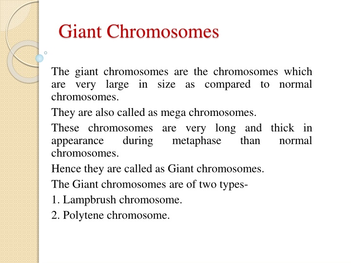 giant chromosomes