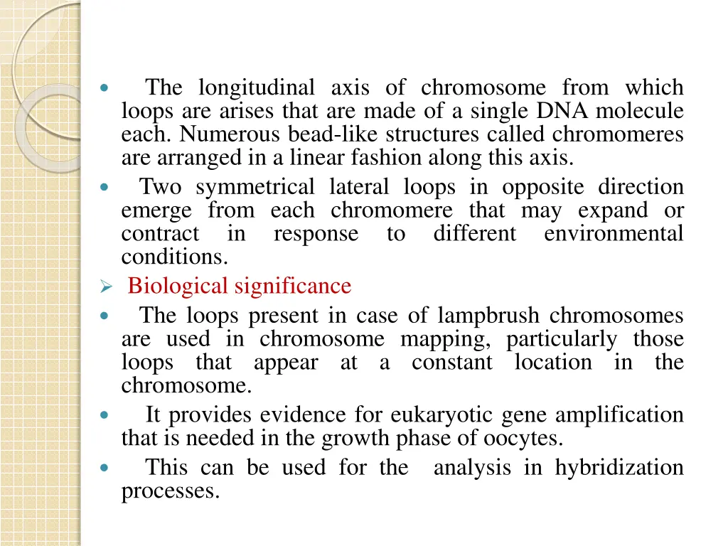 the longitudinal axis of chromosome from which