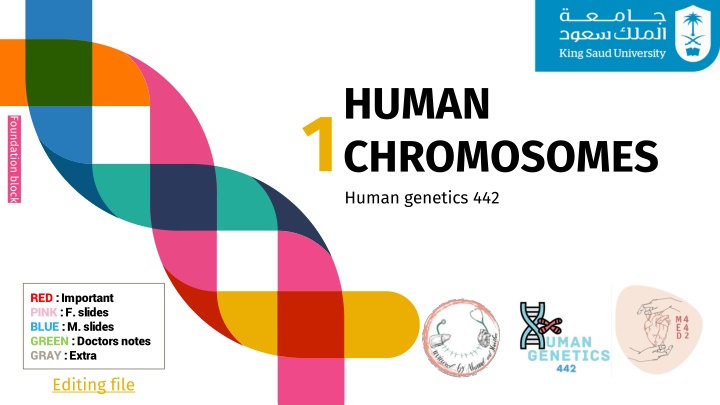 human chromosomes human genetics 442