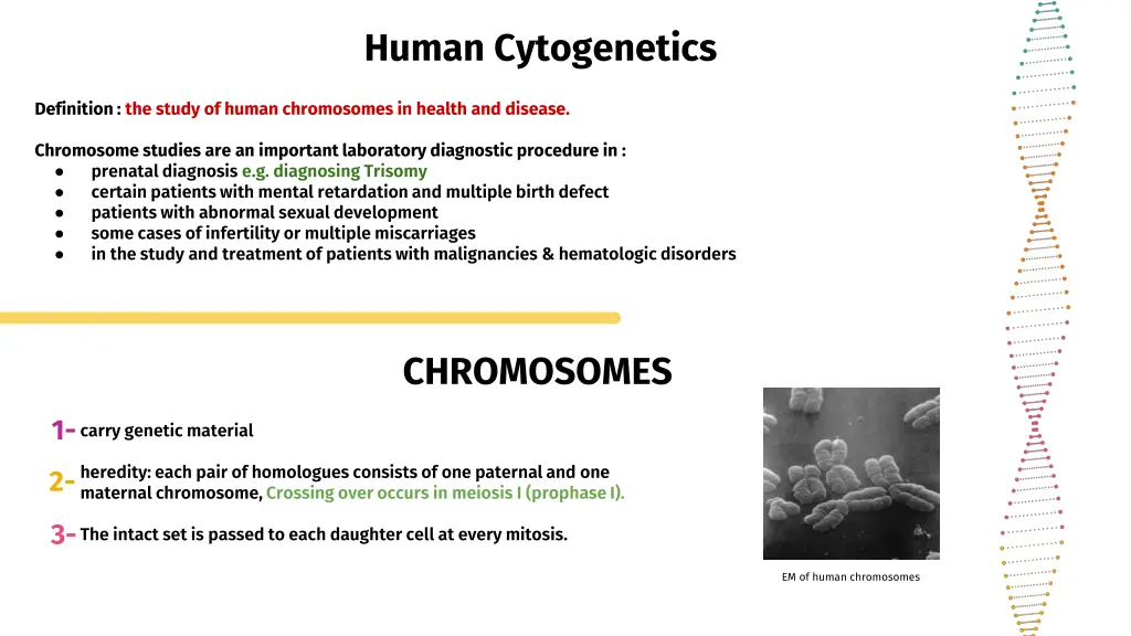 human cytogenetics