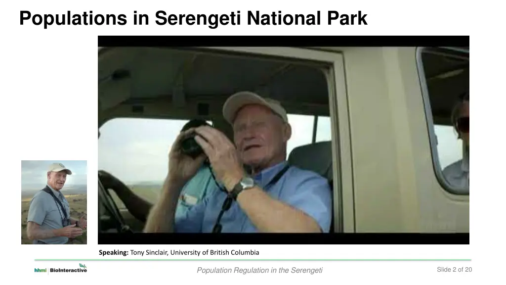 populations in serengeti national park