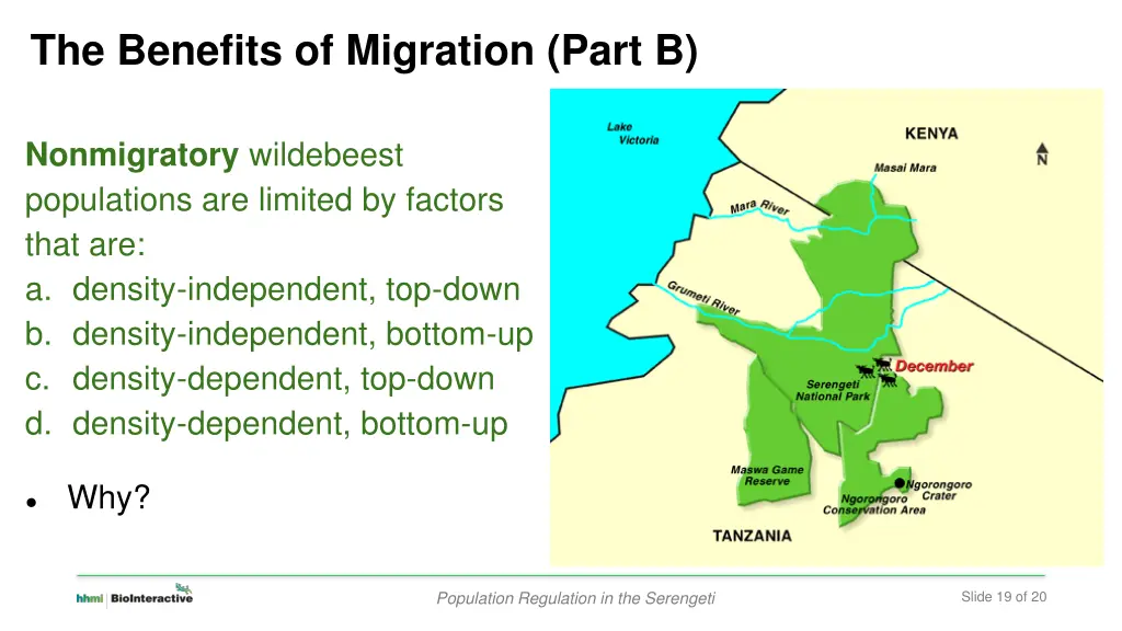 the benefits of migration part b