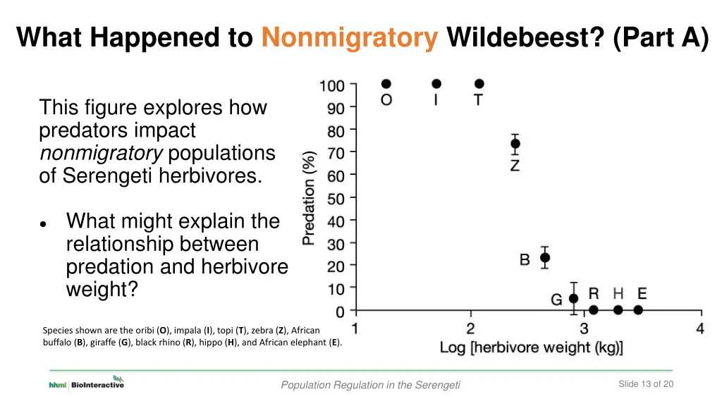 what happened to nonmigratory wildebeest part a