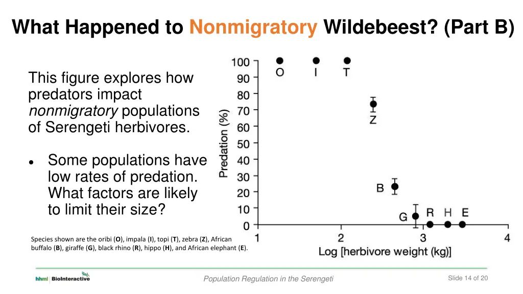 what happened to nonmigratory wildebeest part b