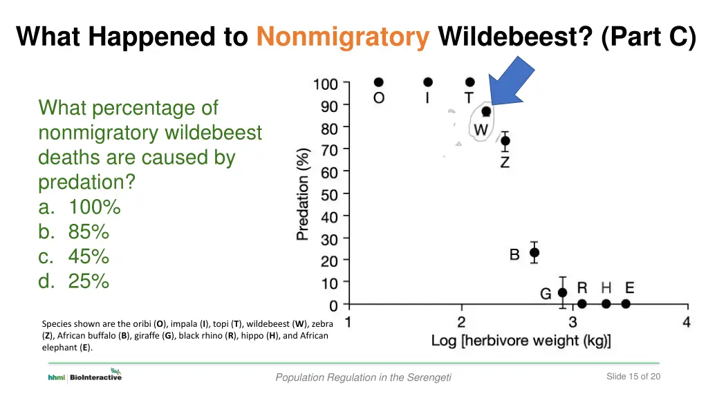 what happened to nonmigratory wildebeest part c