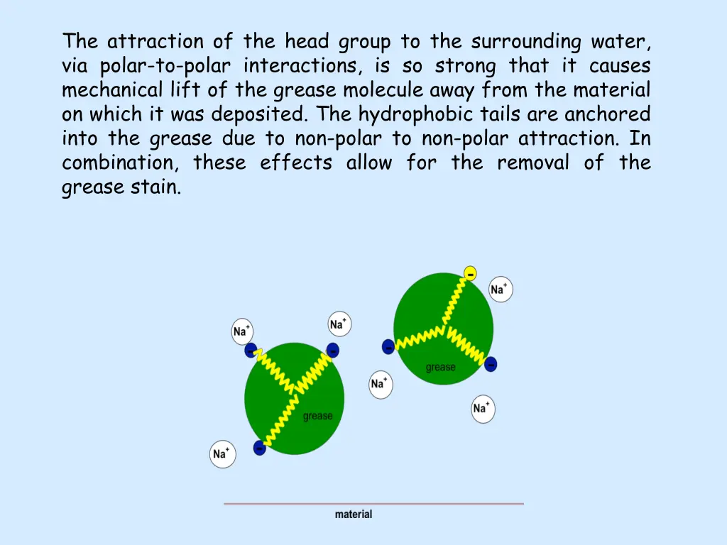 the attraction of the head group