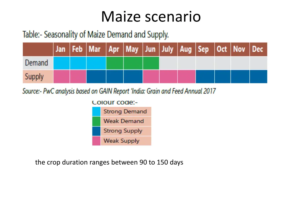 maize scenario